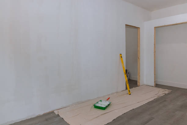 Best Basement Mold Removal  in Greensboro, GA