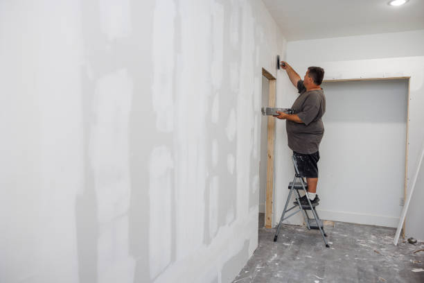 Best Mold Damage Restoration  in Greensboro, GA