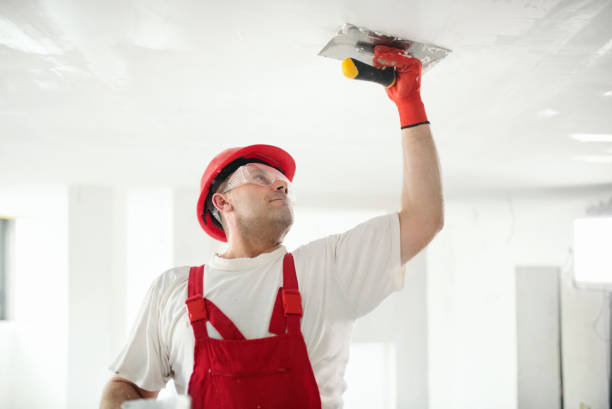 Mold Documentation for Insurance Claims in Greensboro, GA