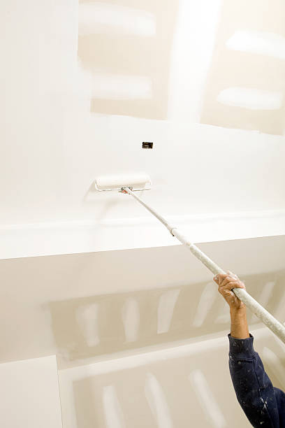 Best Mold Prevention Services  in Greensboro, GA