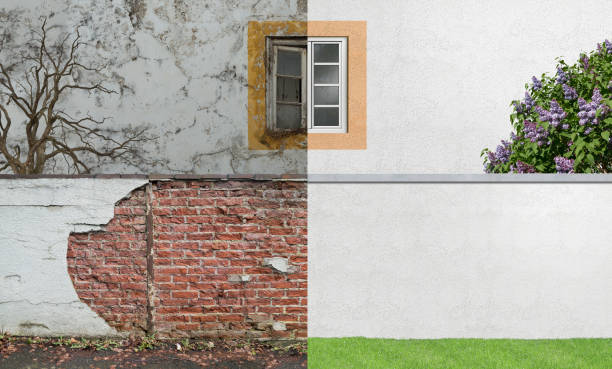 Best Black Mold Removal  in Greensboro, GA