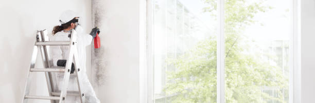 Best Mold Remediation for Healthcare Facilities  in Greensboro, GA